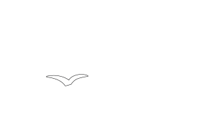 Madebus